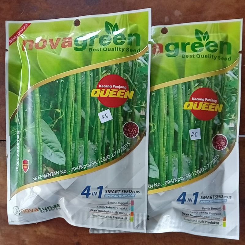 kacang panjang, bibit