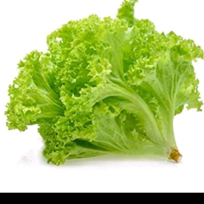 

Selada