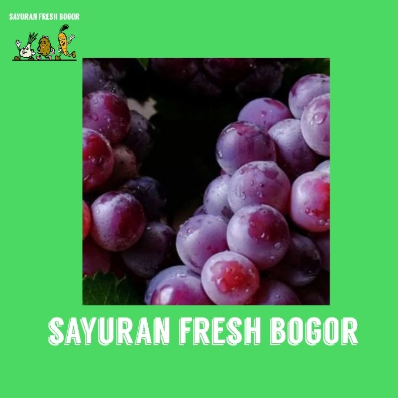 

Anggur Red Globe ( 500 Gram ) | Sayuran Fresh Bogor