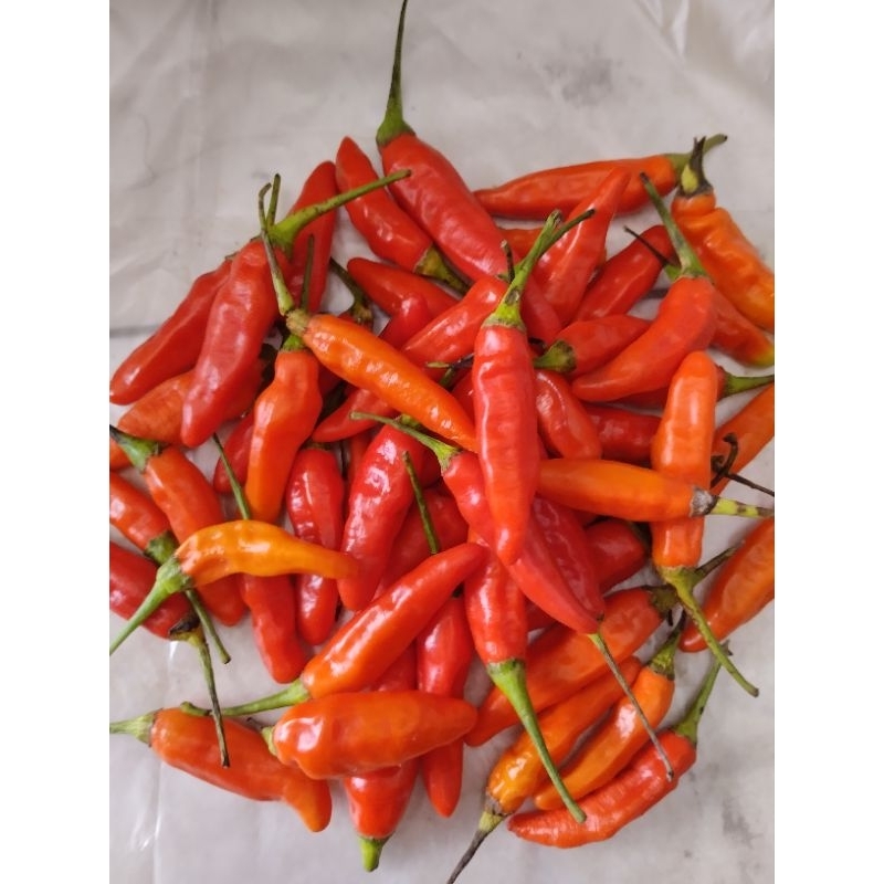 

Cabe Rawit Merah 250gr