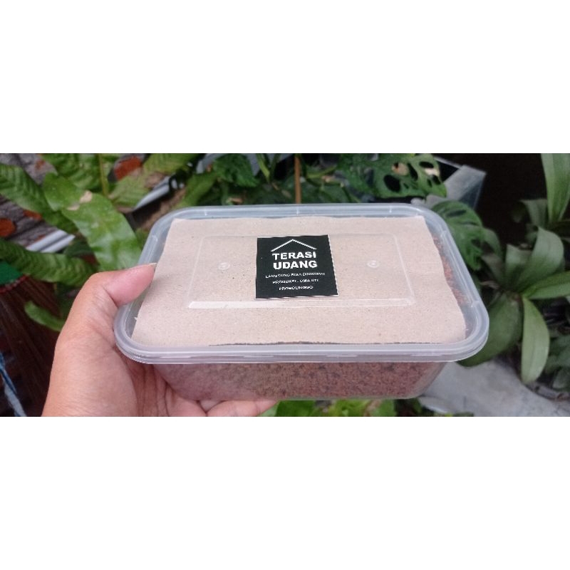 

TERASI UDANG