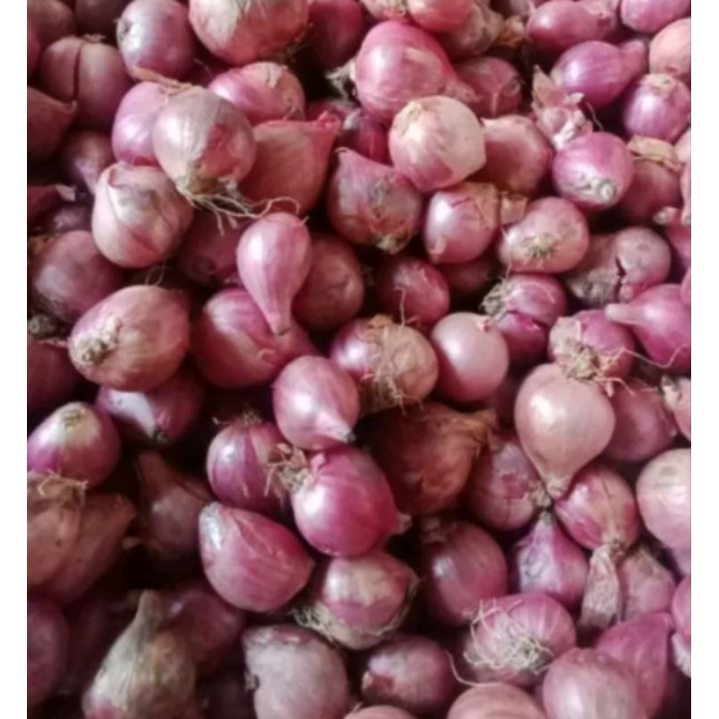 

Bawang merah lokal Probolinggo 1kg