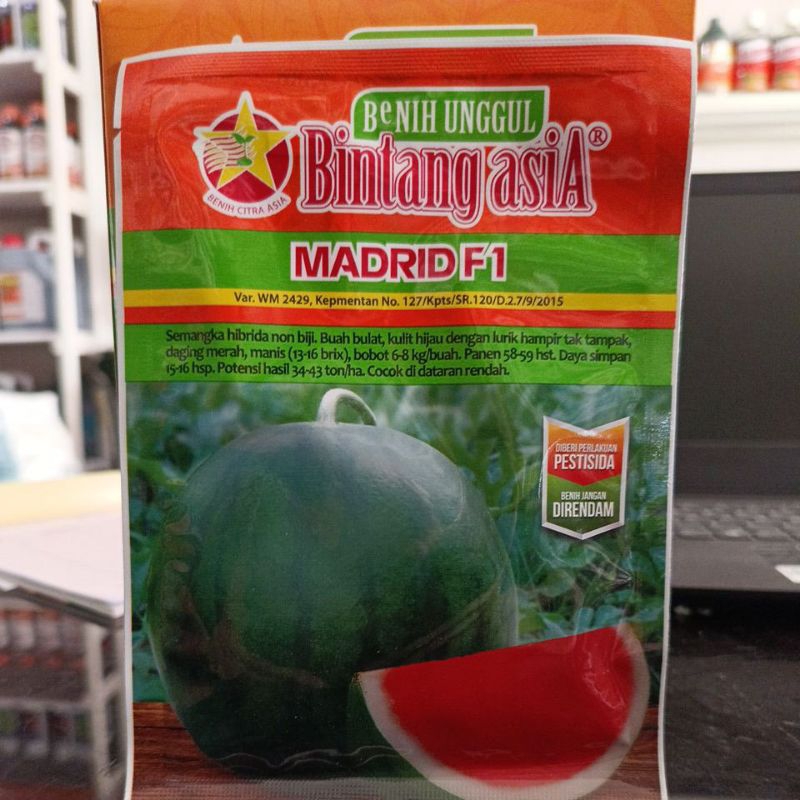 Benih Semangka Madrid (Bintang Asia)