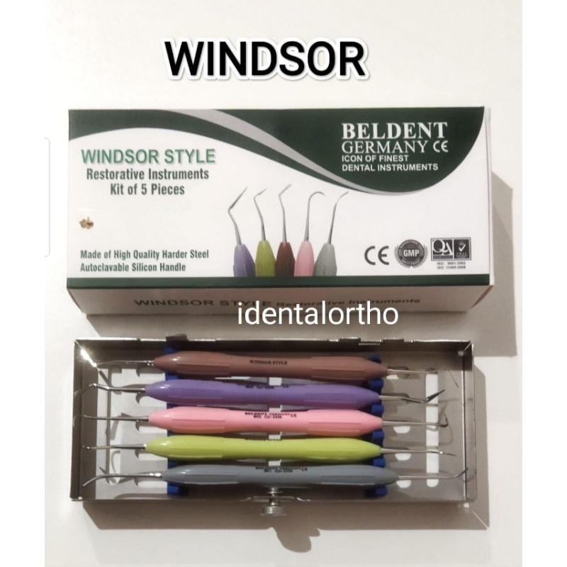 DENTAL WINDSOR STYLE BELDENT GERMANY