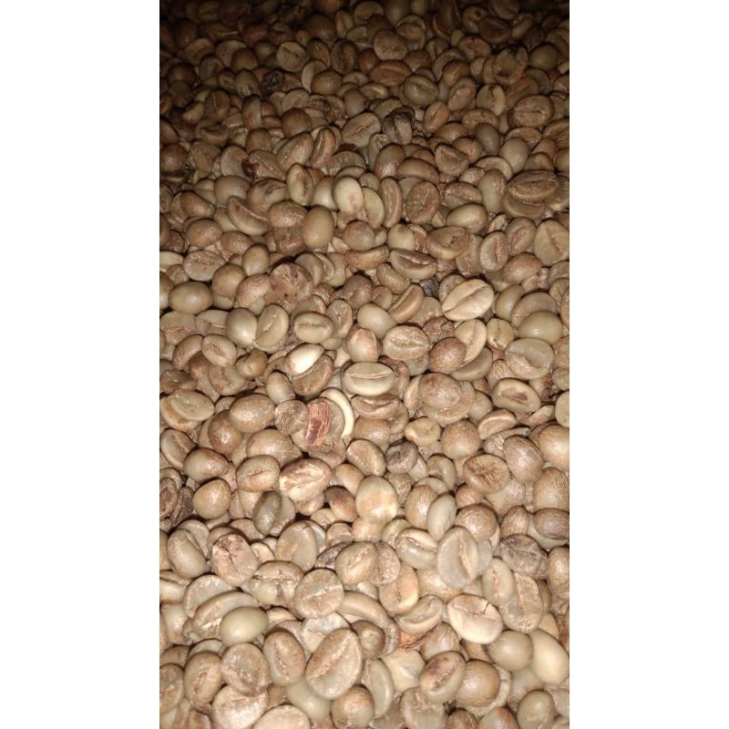 

robusta asalan