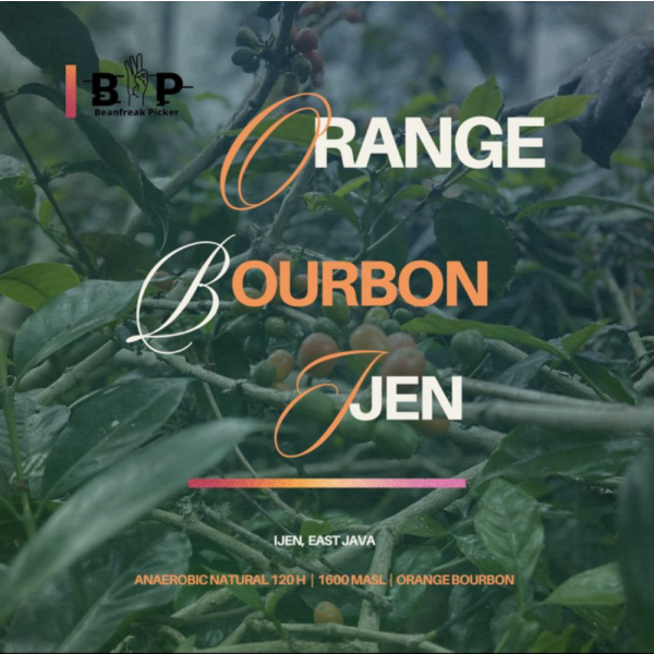 ORANGE BOURBON IJEN