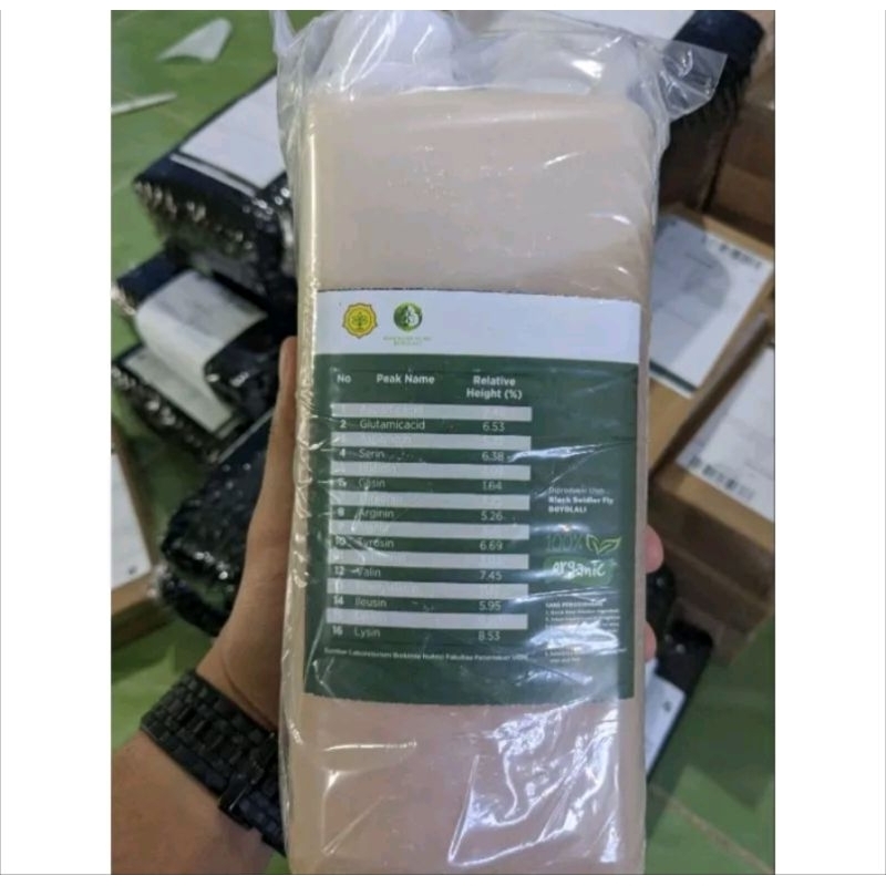 PUPUK ASAM AMINO PENYUBUR TANAMAN BUAH