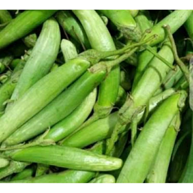 

terong medan fresh 1kg