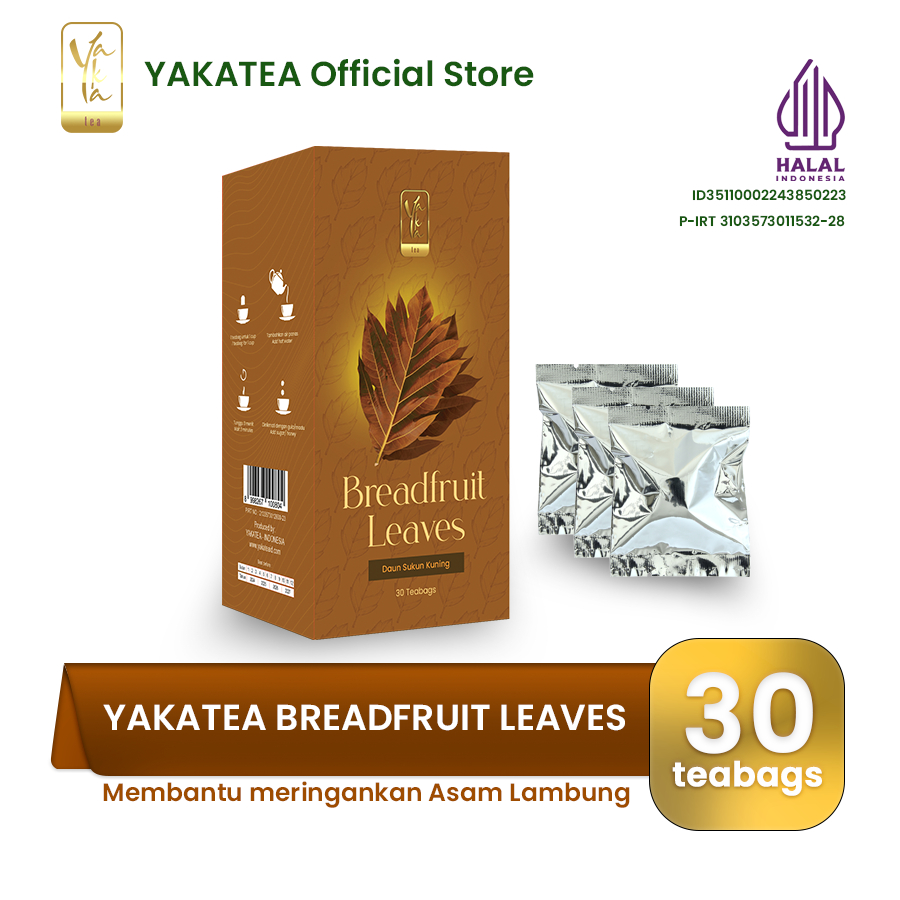 

Teh Daun Sukun Kuning - Yaka Herbal - baik untuk GERD, asam lambung, dan ginjal
