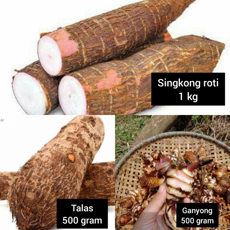 

PAKET UMBI UMBIAN (Singkong roti 1 kg,talas 1 kg, ubi ganyong 1 kg)