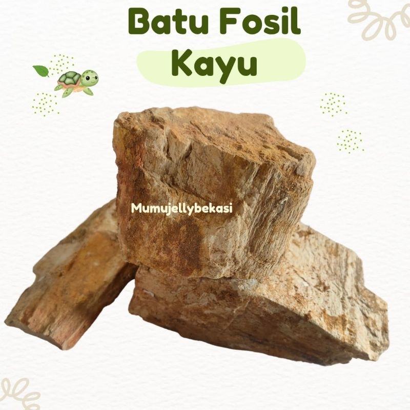 BATU  KAYU AQUASCAPE  decorasi aquascape