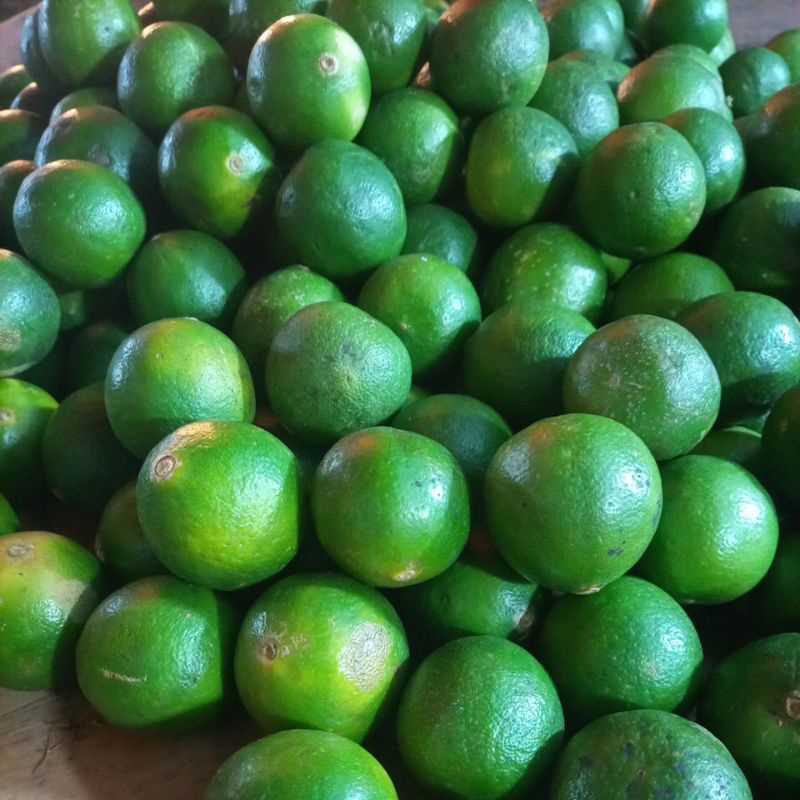 

jerk nifis fres segar 1kg