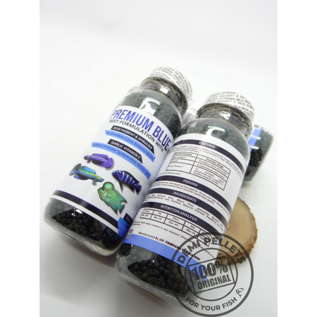Pelet Premium Blue untuk Channa Limbata Andrao Pulchra Orna & lainnya
