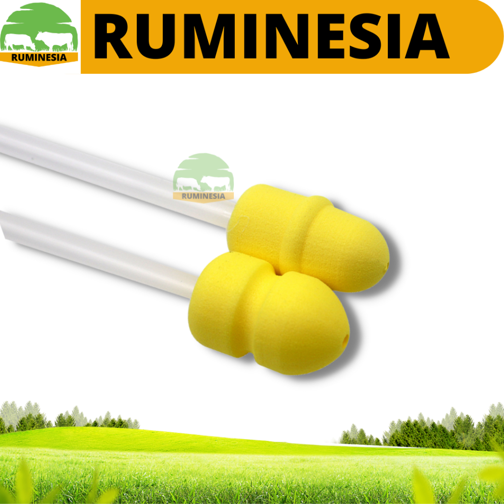 KATETER BABI FOAM - ALAT IB BABI - Katheter babi - Alat Inseminasi Buatan Babi Foam - Catheter Pig