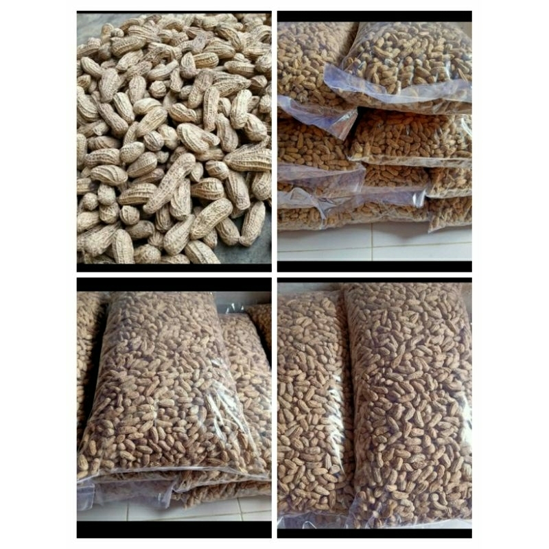 

Kacang Tanah Sangrai 500gram Enak Manis Gurih