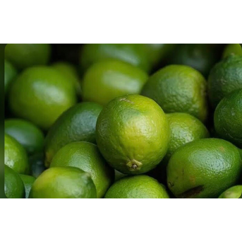 

JERUK NIPIS 1/4 FRESH