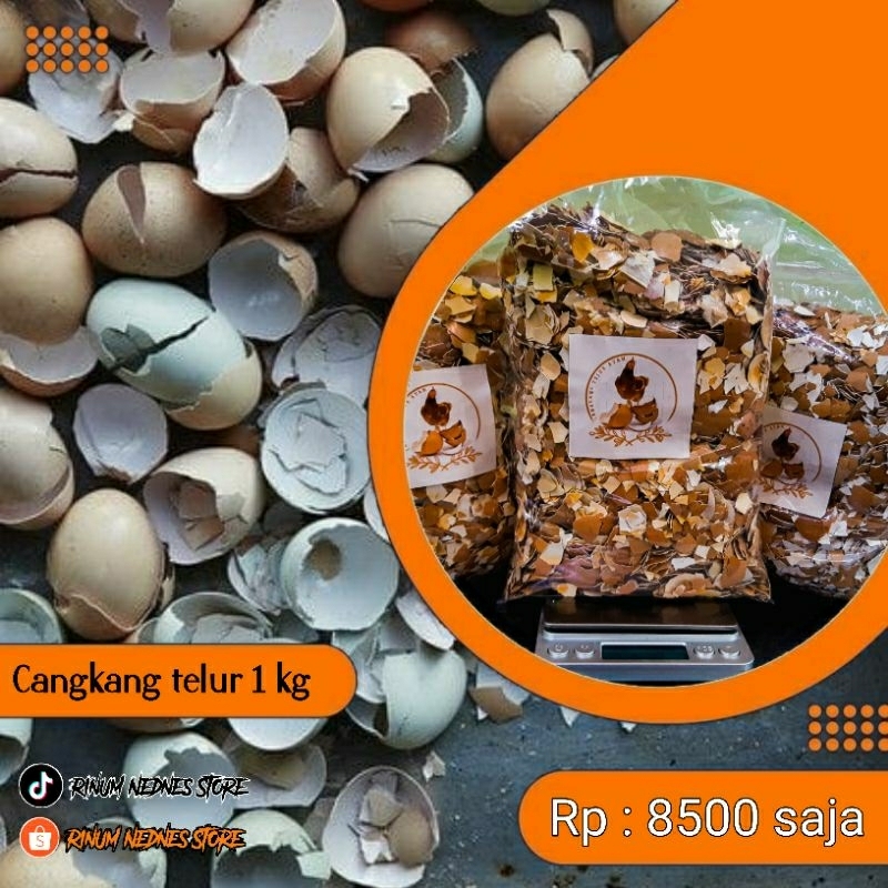 

Cangkang telur / Cangkang Telur Ayam Steril 1 kg