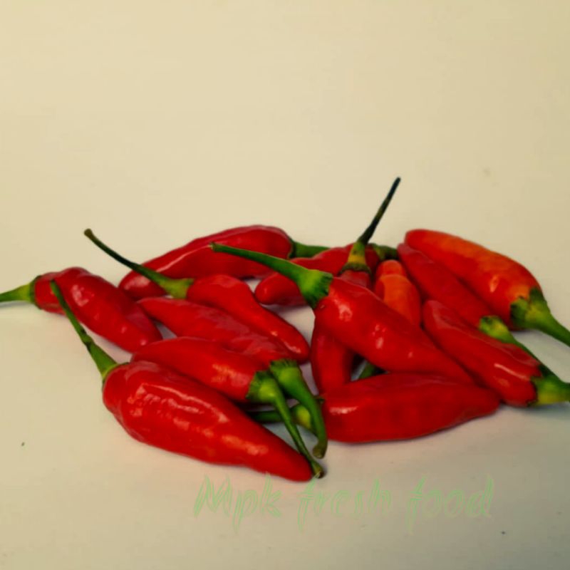 

Cabai Rawit Merah || 100 gram