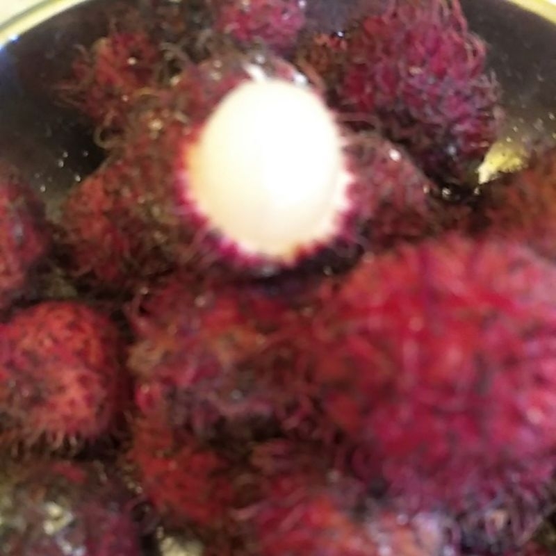 

BUAH RAMBUTAN IKAT SEGAR