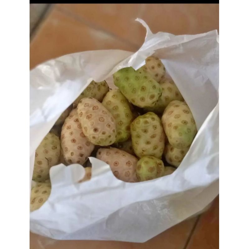 

1kg buah mengkudu segar