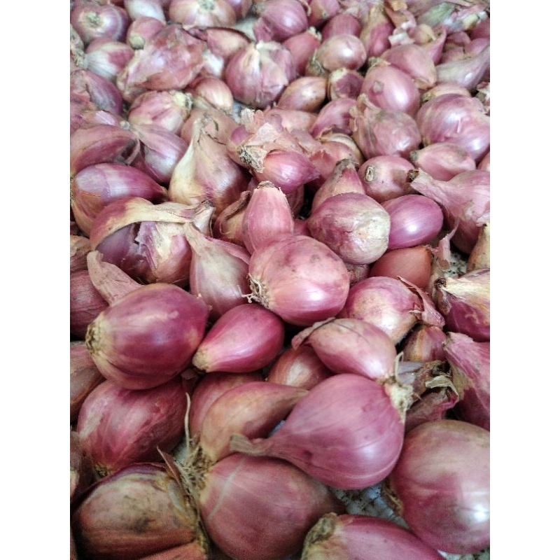 

Bawang Merah 500 gr |Bawang Merah tanggung| Bawang merah Lokal | Bawang Putih