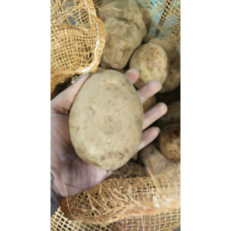 

Kentang Dieng 1 kg