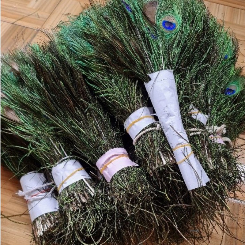 5 Helai aplikasi bulu sintetis -  bulu merak sintetis - bulu merak panjang 25-30cm