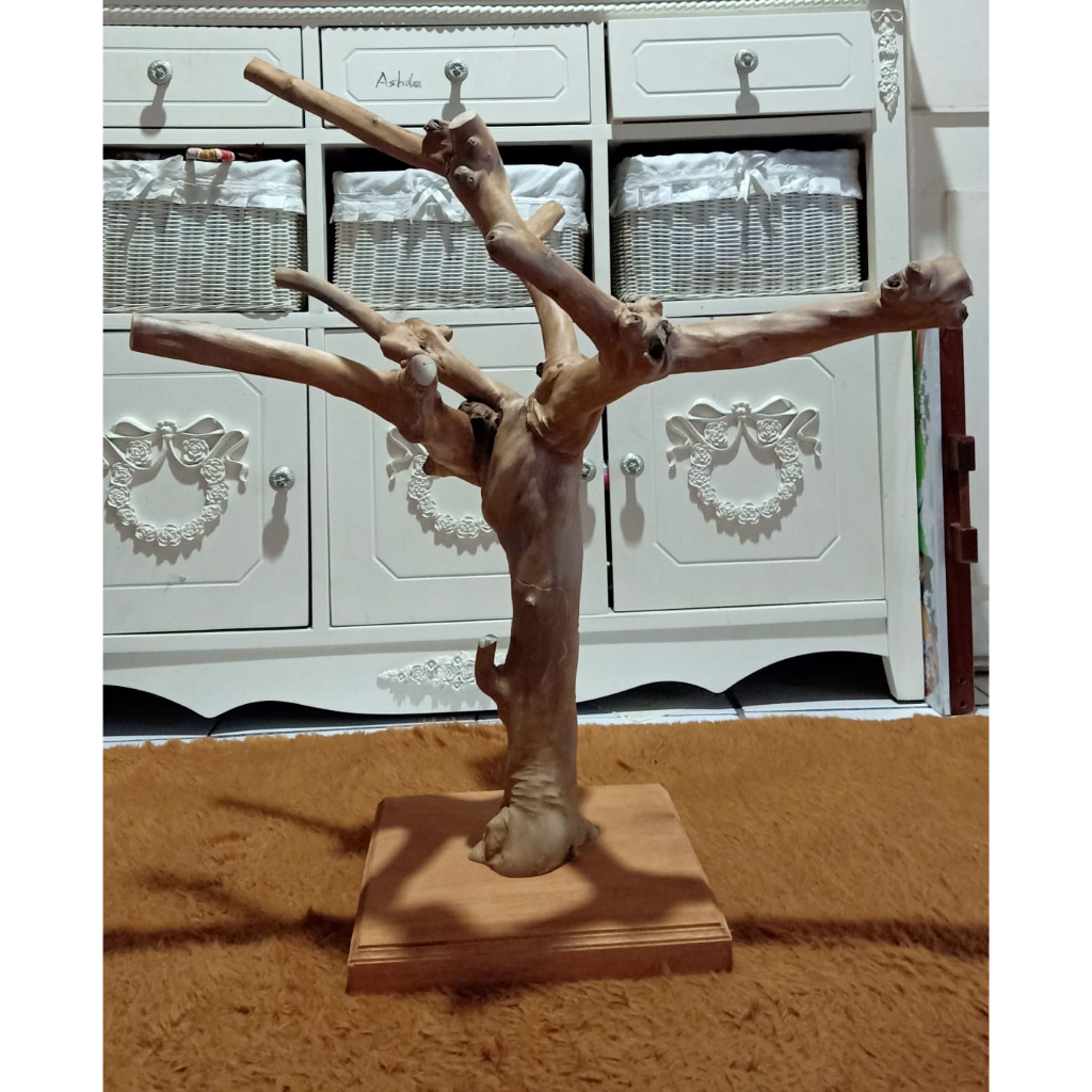 Tangkringan Kayu Kopi Burung Parrot Lovebird Falk Conure SG Tupai Iguana Reptile