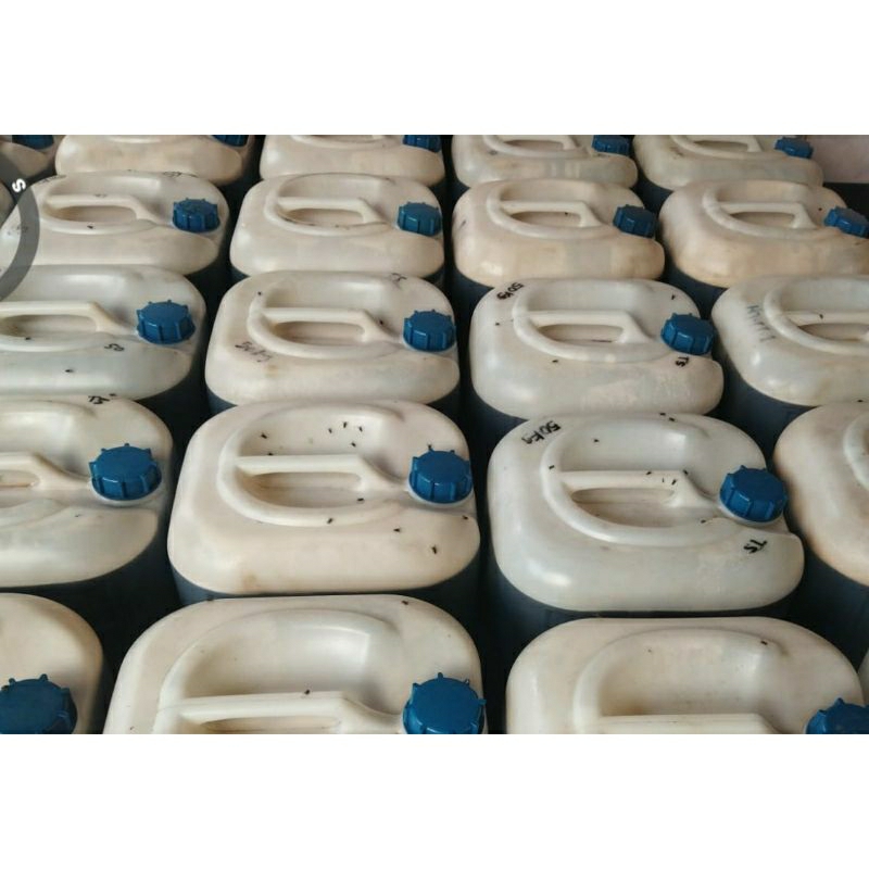 

Madu Murni Asli Akasia Carva Carpa Riau curah Pure Raw Honey