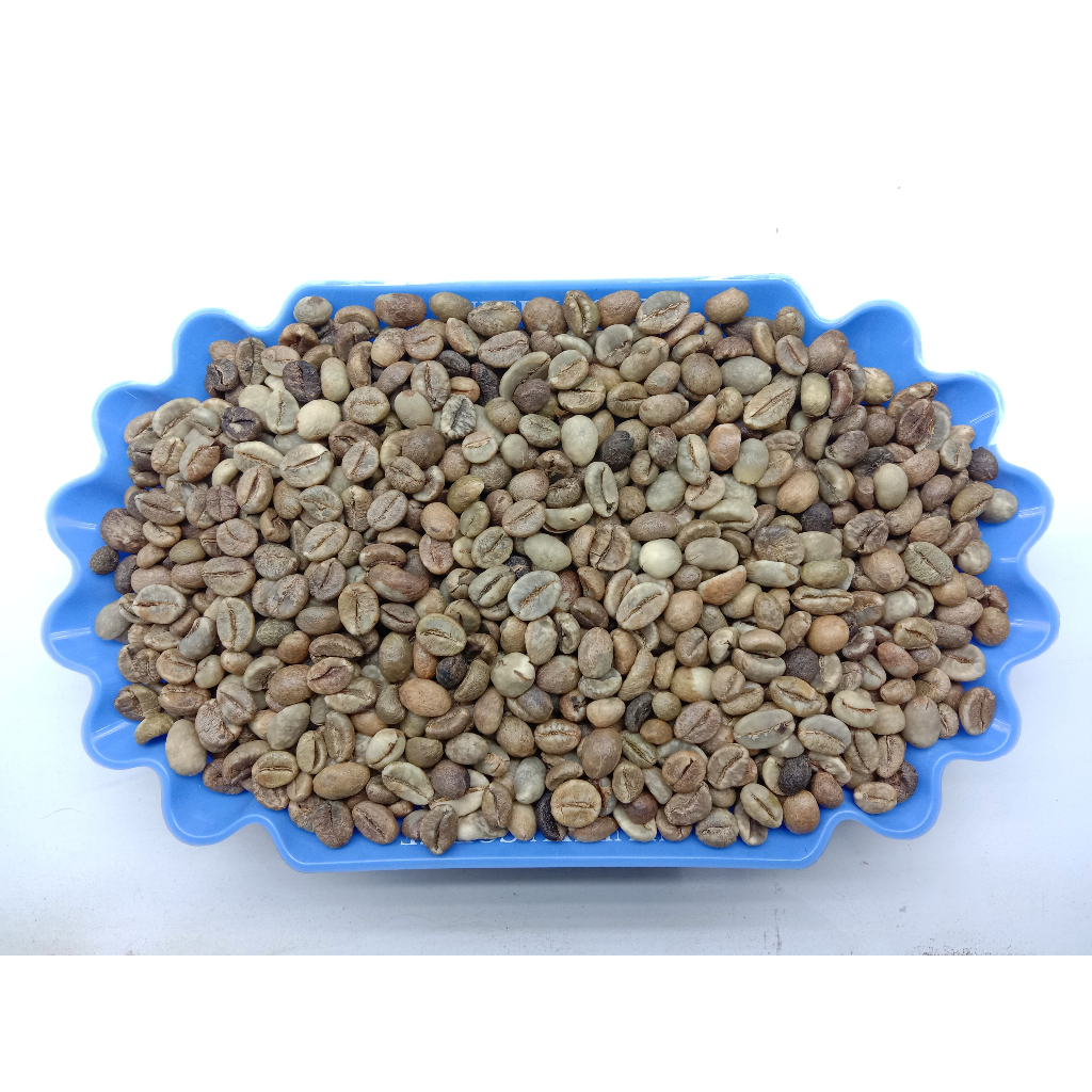 GRADE 3 ROBUSTA GREEN BEAN / BIJI KOPI MENTAH ROBUSTA LAMPUNG - 1 KG