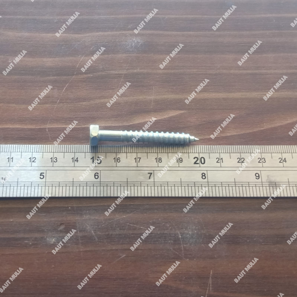 BAUT DECKSCREW 1/4X 2” PANJANG 5 CM BAUT TANAM BAUT TEMBOK BAUT TANAM TEMBOK FISHER/ VISER/ PISEr