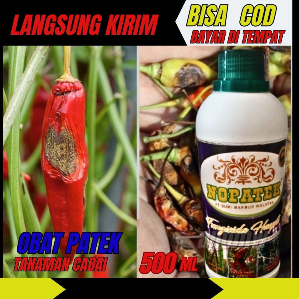 NOPATEK FUNGISIDA OBAT PATEK CABE CABAI