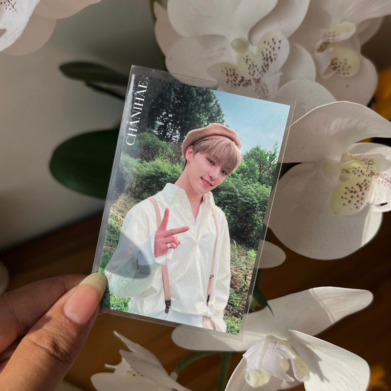 PC RARE BROADCAST GB GONGBANG AN ODE BERET BARET DINO