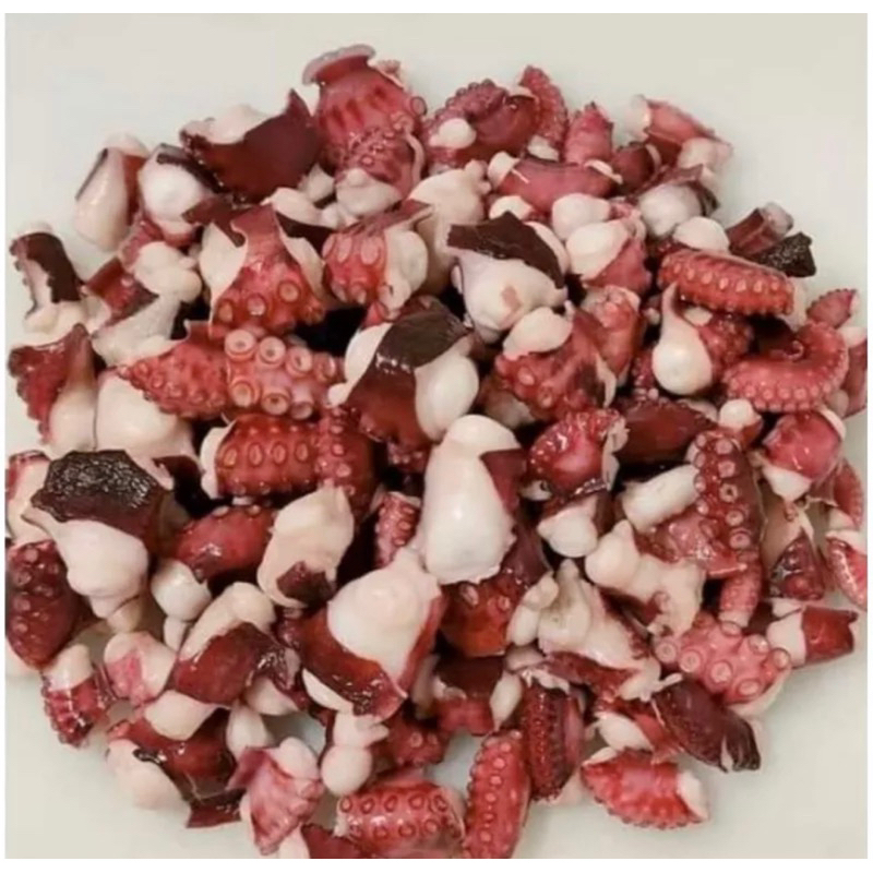 

gurita potong segar beku octopus takoyaki