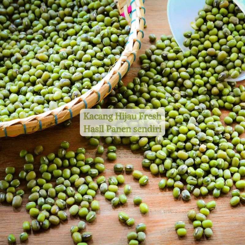 

kacang hijau 1 kg/kacang hijau langsung petani/kacang kupas