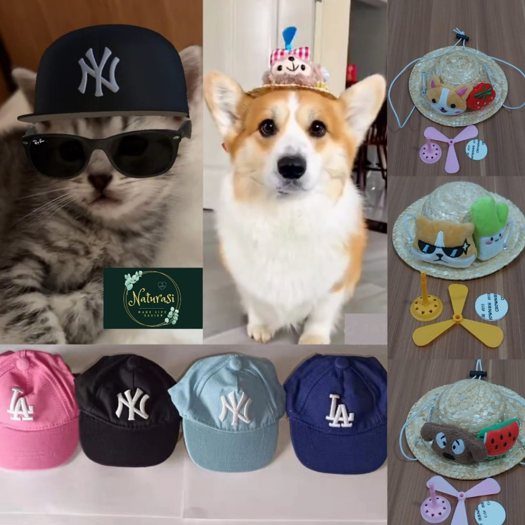 Topi anjing kucing aksesoris hewan premium