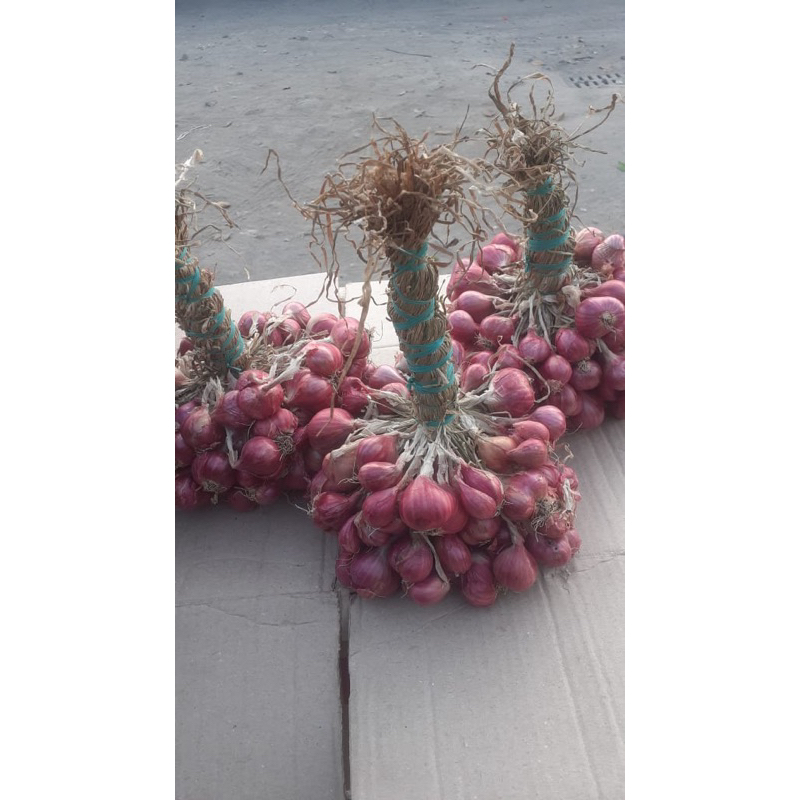

bawang merah kualitas premium