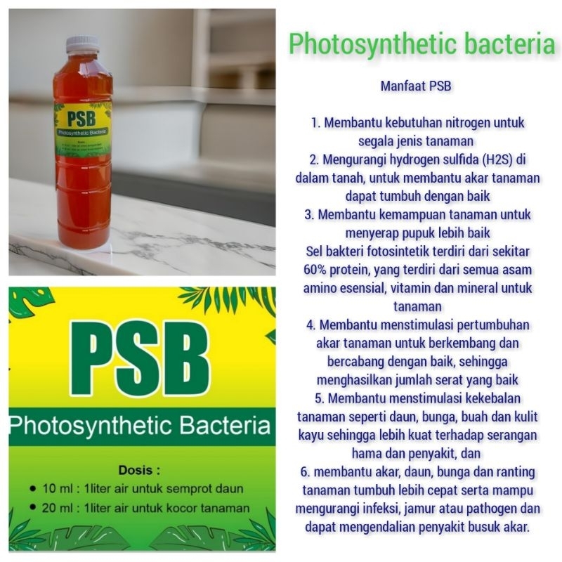 psb / pupuk psb / photosynthetic bacteria / pupuk organik cair