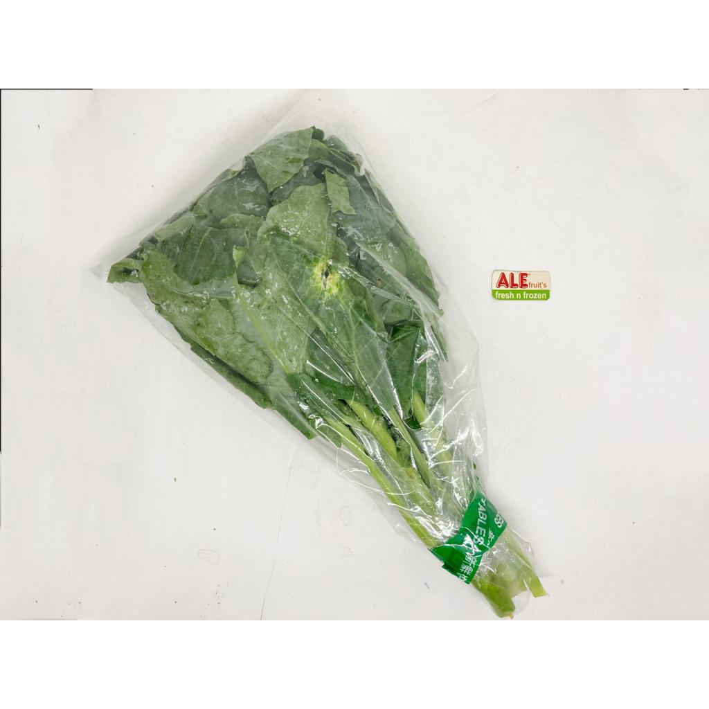 

Kailan fresh, sayur kailan segar, sayur kailan