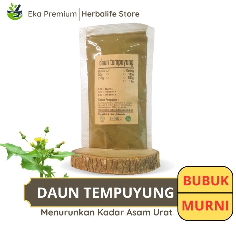 

DAUN TEMPUYUNG BUBUK Kering Ramuan Rempah Herbal Murni Jamu Minuman Alami Tradisional Simplisia Sonchus Arvensis