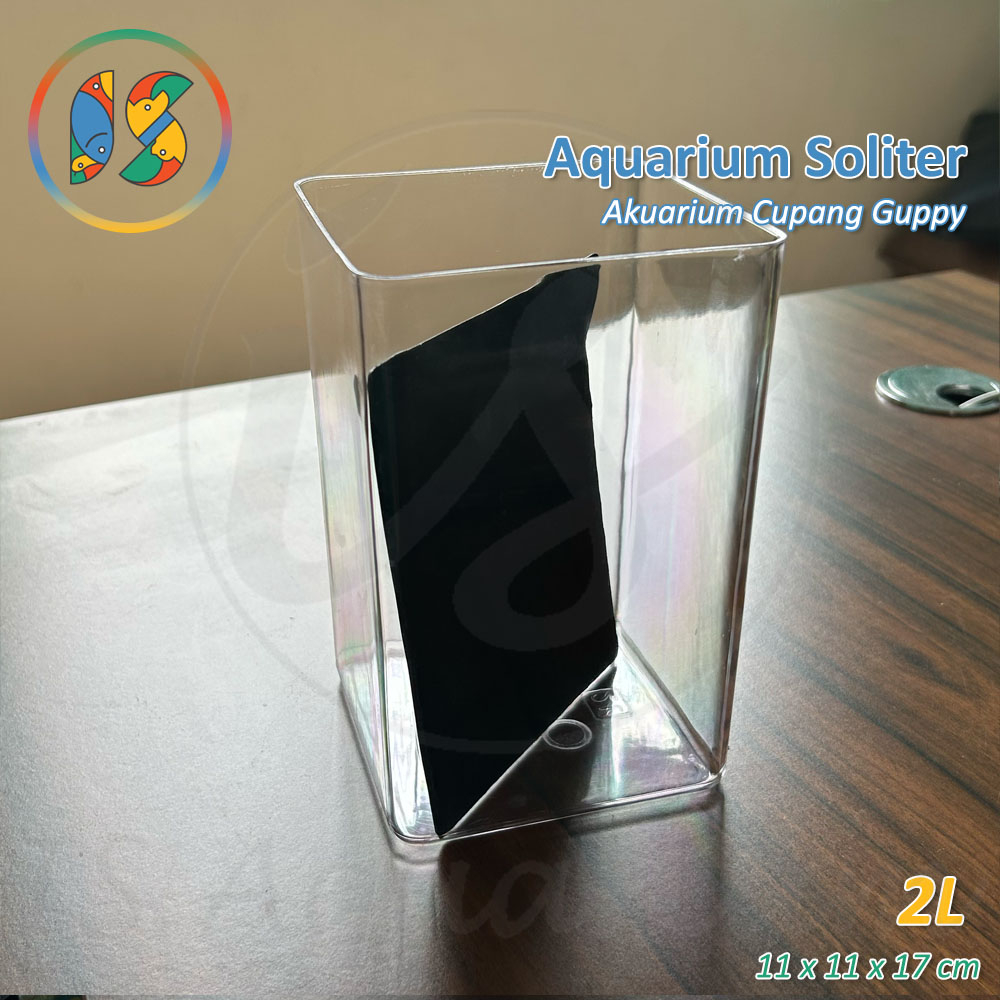 Aquarium Cupang Paxton 2 Ltr Akuarium Soliter Ikan Cupang Guppy