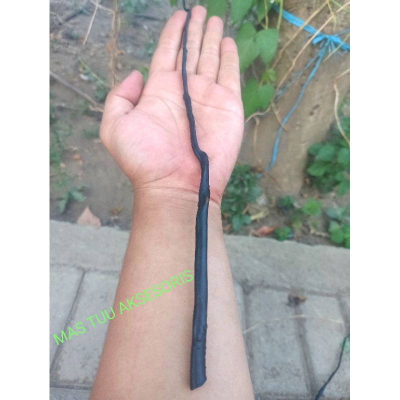 BAHAN AKAR BAHAR HITAM MINIMALIS