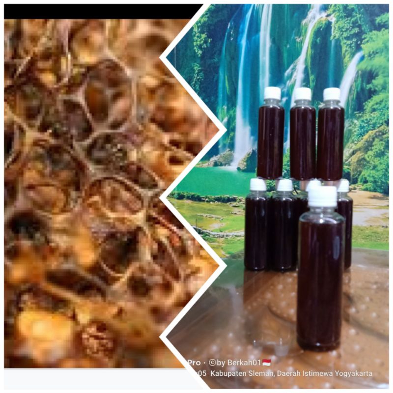 

MADU ASLI KLANCENG FRESH MURNI 100% KELULUT TRIGONA