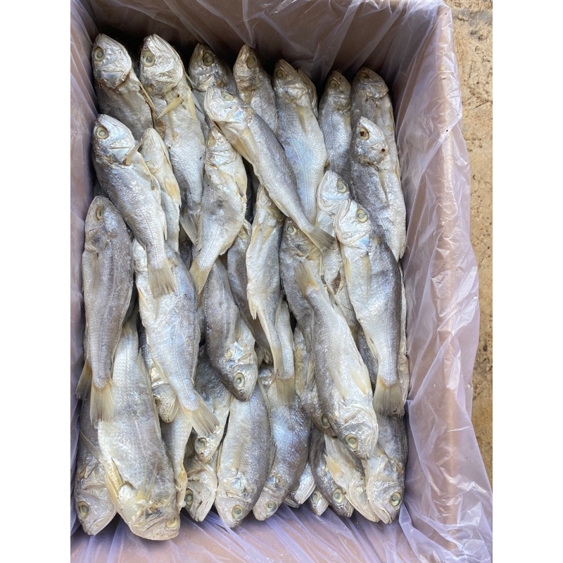 

ikan asin kepala batu/ gulama ; 1kg best seller