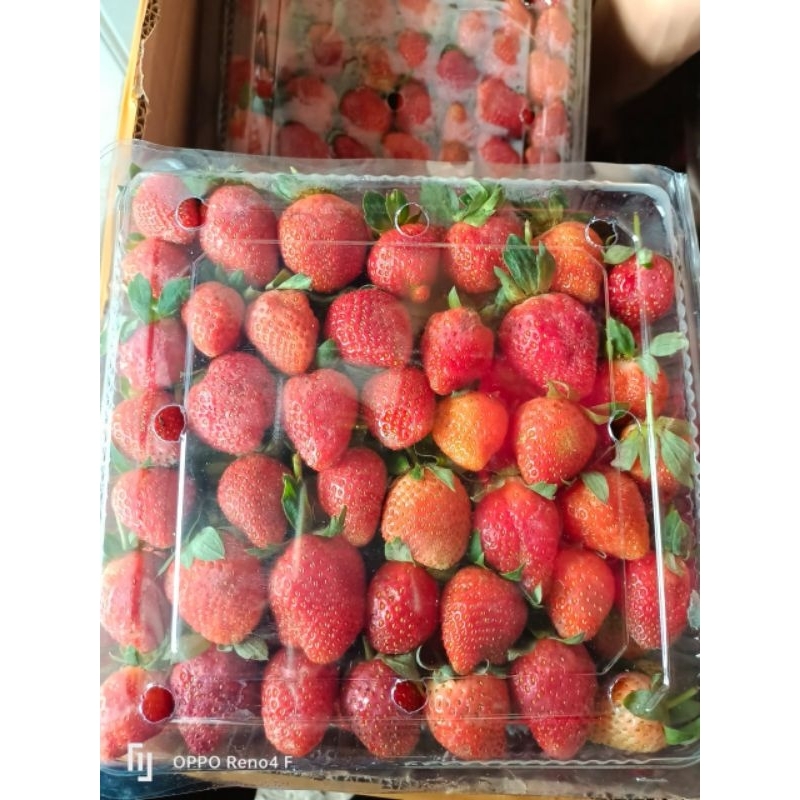 

Strawberry Fresh