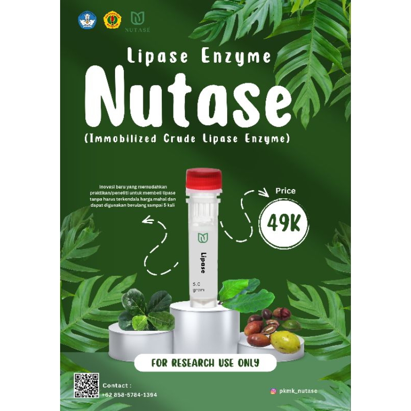 Enzim Lipase | Immobilization Lipase Enzyme