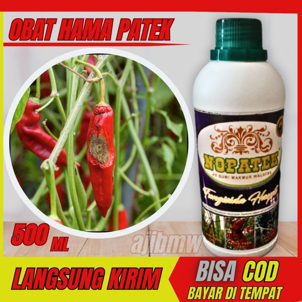 nopatek fungisida organik