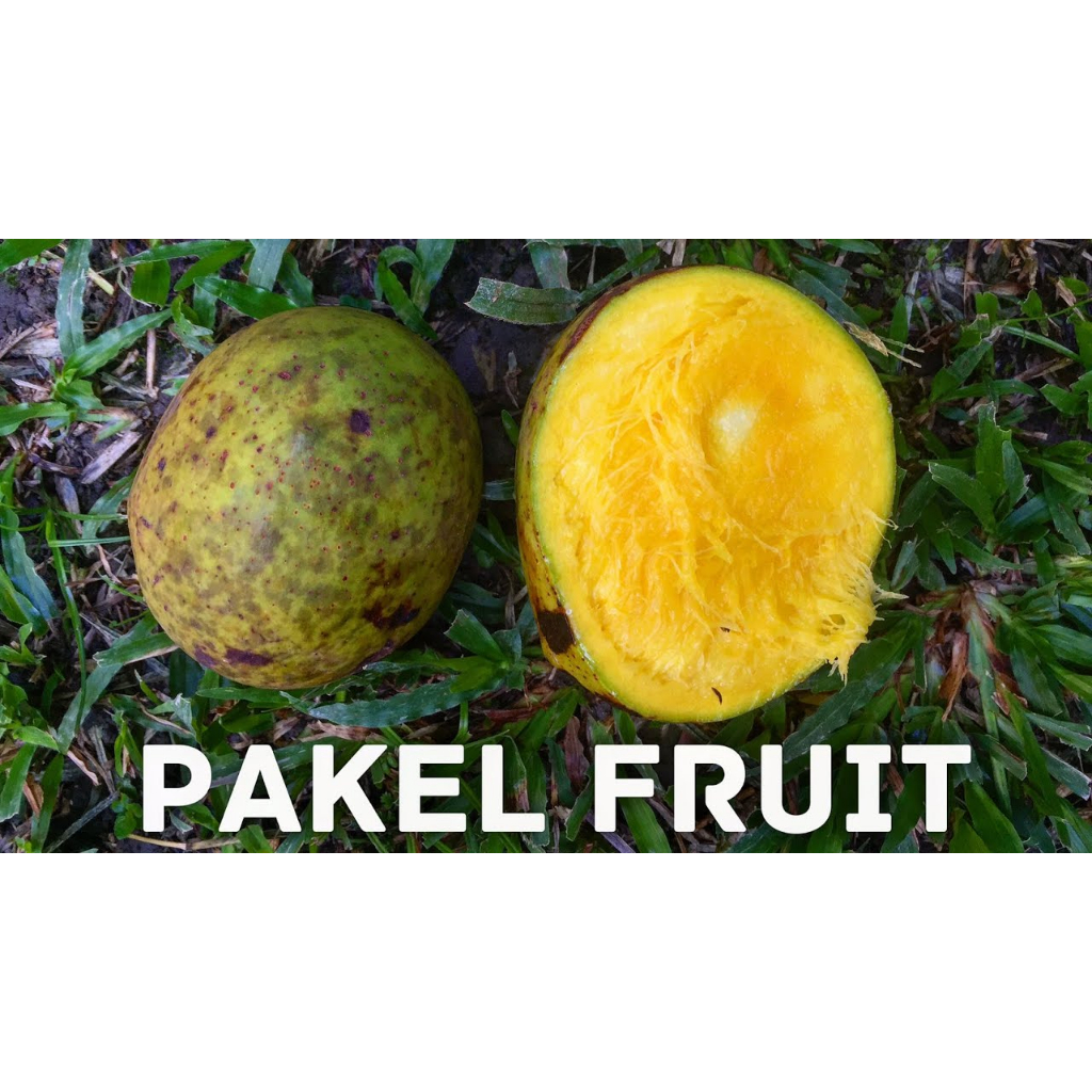 

MANGGA BACANG PAKEL & KWENI per 500gr