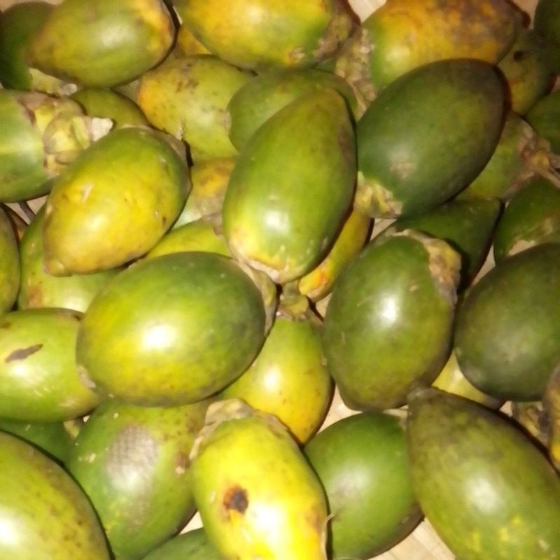 

pinang