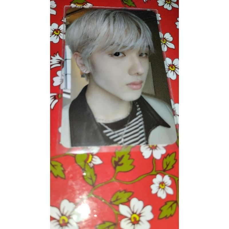 photocard jisung official nct